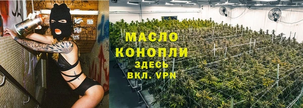 индика Верея