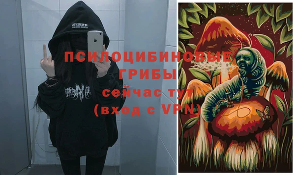 ГАЛЛЮЦИНОГЕННЫЕ ГРИБЫ Володарск