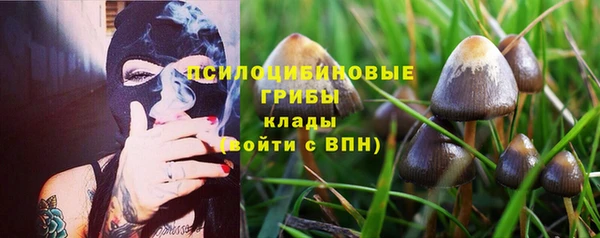 молекула духа Верхний Тагил