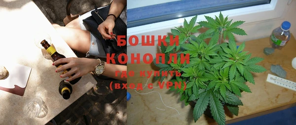 индика Верея