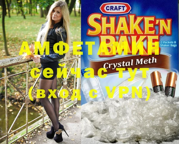 индика Краснослободск