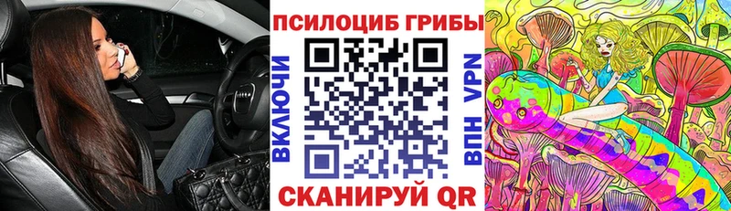 Псилоцибиновые грибы Magic Shrooms  Качканар 